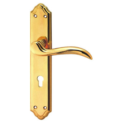 Brass Handle with Plate